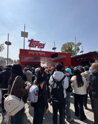 MK体育-现场直击｜3天23万人次观众涌入上赛场，F1引爆上海文商旅体展消费